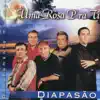 Agrupamento Musical Diapasão - Festa Dos Namorados