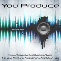 Apologize (Backing Track) [In the Style of Timbaland Feat. One Republic] — You Produce