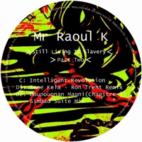 Still Living In Slavery, Pt. 2 - Mr Raoul K