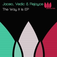 The Way It Is - Single - Jaceo & Vedic & Rejoyce