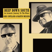 Deep Down South, an Acoustic Journey to the Blues artwork