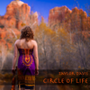 Circle of Life (from "the Lion King") - Taylor Davis