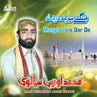 Ya Rasool Allah Ya Habib Allah — Qari Muhammad Awais Sialwi