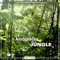 Jungle océan et Ara macao - Fernand Deroussen lyrics