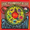 autorickshaw - Snake Charmer