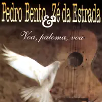 BARRETOS PEÃO E VIOLA — PEDRO BENTO E ZÉ DA ESTRADA