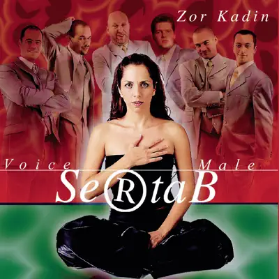 Zor Kadin - Single - Sertab Erener