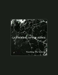 聆聽 Gathering After Ashes、觀看音樂影片、閱讀小傳、查看巡演日期等！