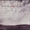 Perfect City