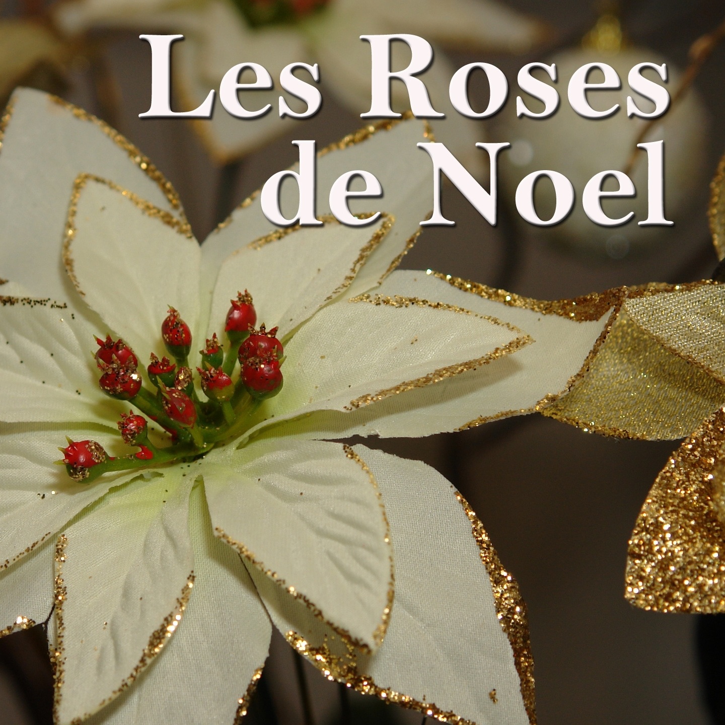 Les roses de Noël
