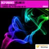 Deep Grooves Volume 1 - Single