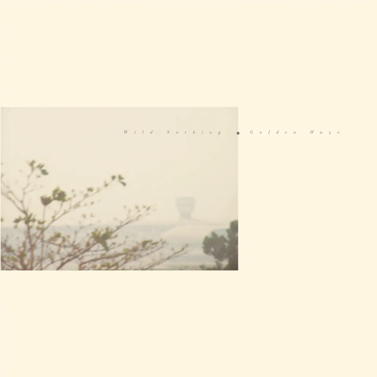 Wild Nothing - Golden Haze - EP (2010) [iTunes Plus AAC M4A]-新房子