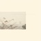 Golden Haze - Wild Nothing lyrics