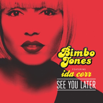 See You Later (Remixes) [feat. Ida Corr]