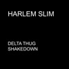 Delta Thug Shakedown - Single