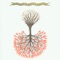 Child of Chaos - Lungfish lyrics