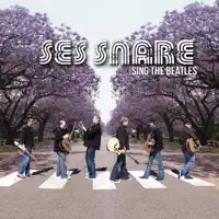Norwegian wood — Ses Snare
