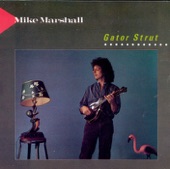 Mike Marshall - Chief Sitting In The Rain