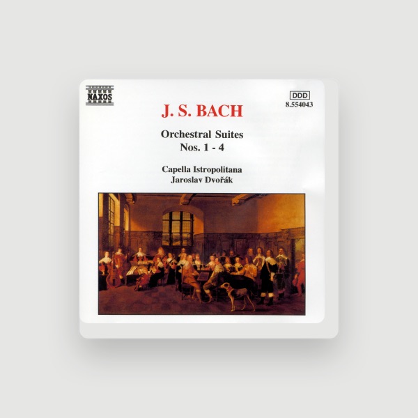 Jaroslav Dvořák's avatar