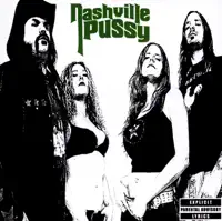 Gonna Hitchhike Down to Cincinnati and Kick the Shit Outta Your Drunk Daddy — Nashville Pussy