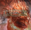 Local H Hands on the Bible Here Comes the Zoo