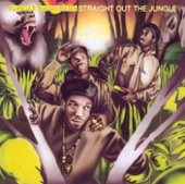 Straight Out the Jungle artwork