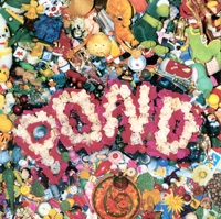 Pond - Young Splendor
