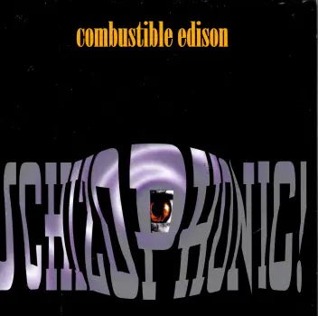 Ascolta 'Schizophonic! - The Progressive Sounds of Combustible Edison' di Combustible Edison