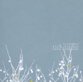 The Shins - The Past And Pending