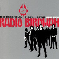 Radio Birdman - New Race
