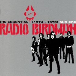 Radio Birdman - Smith and Wesson Blues