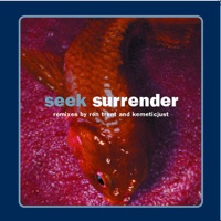 Seek - Surrender (Original)