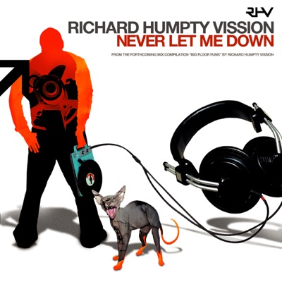 Never Let Me Down - Single