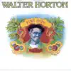 Big Walter Horton - Walter's Swing