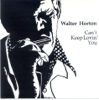 Can't Keep Lovin' You - Big Walter Horton