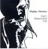Walter's Boogie