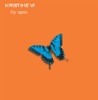 Fly Again Remixes