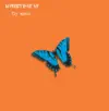 Fly Again (Scumfrog Mix)