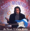 Coco Montoya - Dyin' Flu