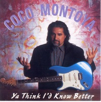 Coco Montoya - Dyin' Flu