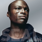 Seal - Waiting For You