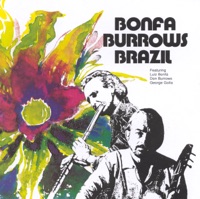 Luiz Bonfa - The Gentle Rain