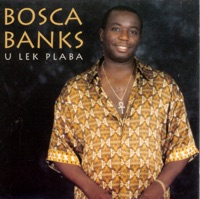 Bosca Banks - Tell Me Why