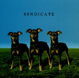 Follow Me Syndicate