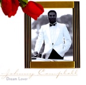 Dream Lover artwork