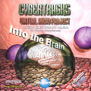 Virtual Audio Project: Into the Brain