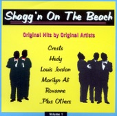 Shagg'n On the Beach