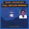 Pebbles in the Sand - Randy Anagnostis lyrics