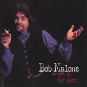 Cover art for Like It or Not by Bob Malone