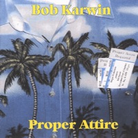 Bob Karwin - Never Met the Man
